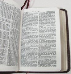 Nelson KJV The Smallest Holy Bible 104BG Burgundy Genuine Leather Box Magnifier