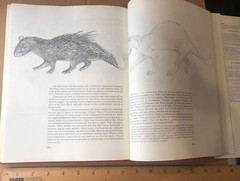 East African Mammals Volume IIB (1974 edition) By Jonathan Kingdon – Rare 