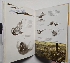 Rien Poortvliet: … und jeder Fuchs hat seinen Bau, Kosmos 2001, HC