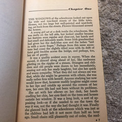 My Sky Is Blue Loula Grace Erdman 1965 Willow Books School Story Romance Book