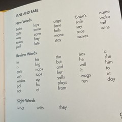 Phonics Readers Long Vowels SET OF TEN different decodeable books