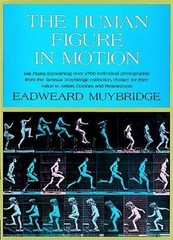 Dover Anatomy for Artists Ser.: The Human Figure in Motion by Eadweard Muybridge