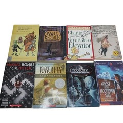 Early Chapter Books Boys Interest Lot of 26 Grade 3-6 Vintage & Modern