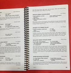 LAKE STATE FEDERAL CREDIT UNION FAVORITES COOKBOOK 8.5X6 INCHES MOOSE LAKE MINN.