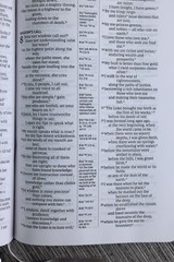 NIV, Compact Center-Column Reference Bible, Leathersoft, Black, Red Letter,
