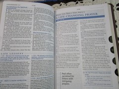 NASB Charles Stanley Life Principles Bible- Large Print INDEXED Burgundy LS-RARE