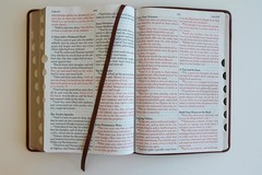 KJV Giant Print Thinline Bible – Durable Brown Cover, Ribbon Marker, 1408 Pages