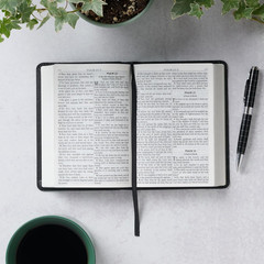 KJV Holy Bible, Compact Large Print Faux Leather Red Letter Edition – Ribbon Mar