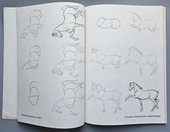 Draw 50 Animals Books Lot Lee J Ames Horses Cats Dogs Step-by-Step Drawing