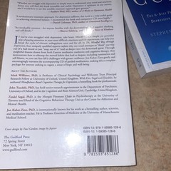 2 BOOK LOT The Mindful Way Through Depression Cure ILARDI Jon Kabat-zinn