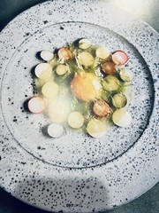 NOMA: Time & Place in Nordic Cuisine; Brand New, 367 pages.