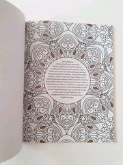 The Gold Coloring Book Beautiful Radiant Designs by Arcturus Publishing