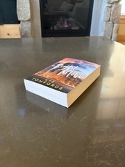 The Right Move | Windy City Series | Liz Tomforde | Sports Romance book