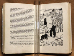 GOING on SIXTEEN by Betty Cavanna – The Westminster Press 1946 HCDJ