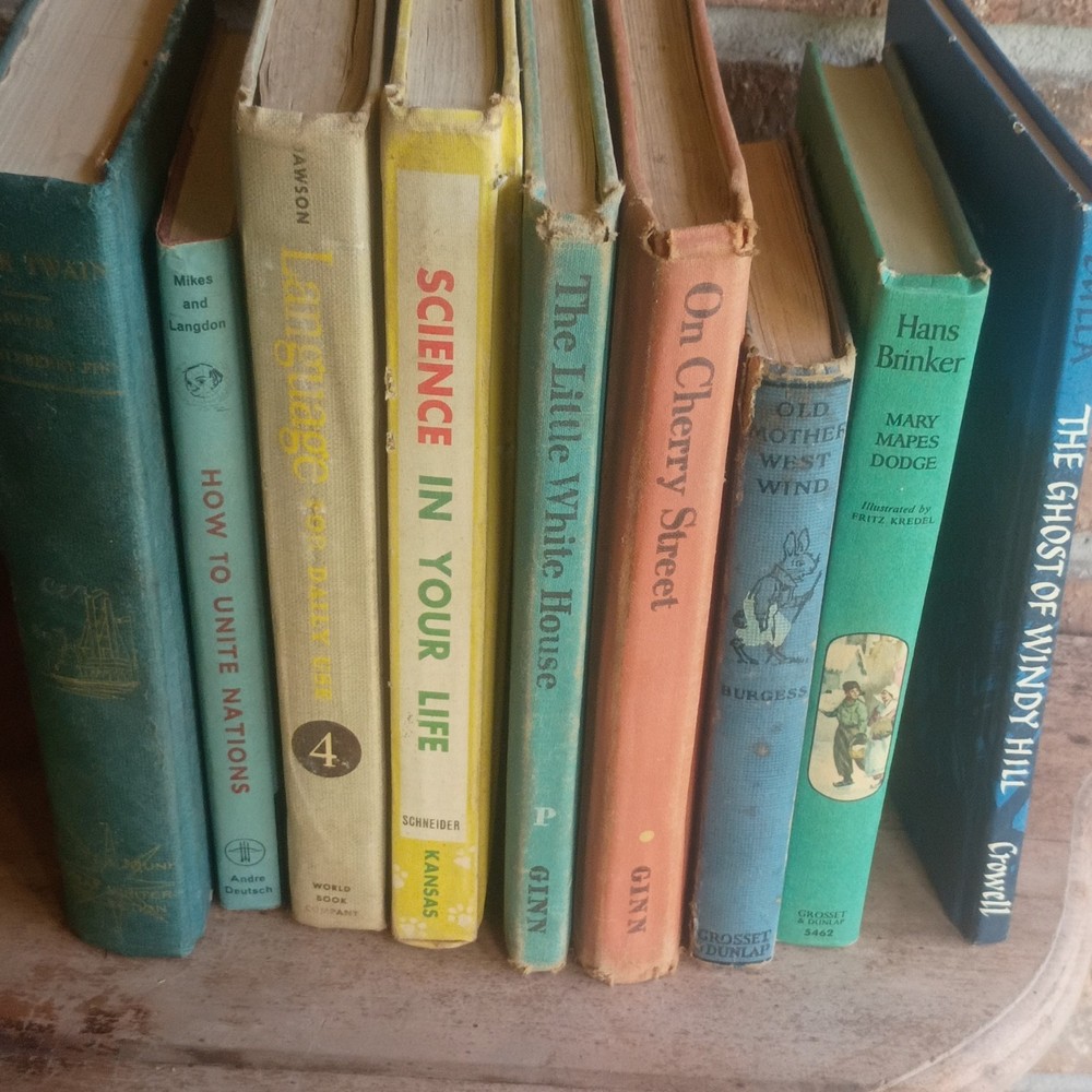 9 vintage books and school books science language Mark Twain Hans brinker,others