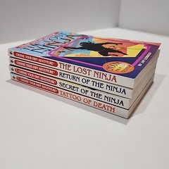 Choose Your Own Adventure NINJA Set of 4 Books Secret Lost Return VGC