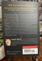The Wicked Years Box Set 4 Books Gregory Maguire Oz Series Complete Readers Copy
