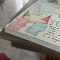 The #1 Bestseller Gnomes Forest Gnome Paperback Book