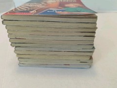Lot of 13 A to Z Mysteries & Calendar Mysteries Chapter Books by Ron Roy