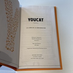 Youcat Confirmation Book by Bernhard Meuser and Nils Baer (2014, Trade…