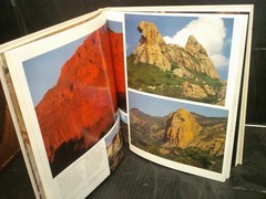 CAATINGA ( Brasil) Picture Book Fine HC in Slipcase~ Oversize HCDJ~ Ships Boxed
