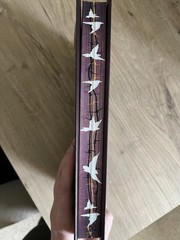 To Cage a Wild Bird by Brooke Fast | Allurial Deluxe Hardcover First Edition