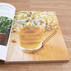 Illustrated Encyclopedia of Natural Remedies / Recipes Book Superfoods Cleanses