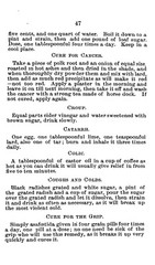 1893 The Worlds Fair Recipe Cook Book 119 Pages