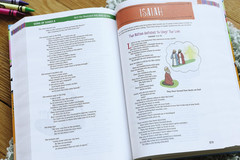 Nirv, the Illustrated Holy Bible for Kids, Hardcover, Full Color, Comfort Print: