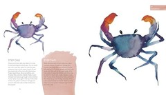Everyday Watercolor Seashores: A Modern Guide to Painting Shells, Creatures, and