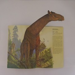 4 Lbs The Secret Life Of Beasts DINOSAURS THE GIANTS OF OUR PLANET 1979-90