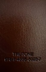 Bible (ESV) English Standard Version Large Print Value Thinline TruTone Tan New.