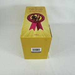 Pippa Funnell Ten Perfect Pony Tales Book Boxed Set Horses Equestrian Lot of 10