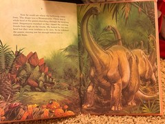 Dinosaur Library Series Lot of 25Vintage 1980s Hardcover Books Rourke VGC READ