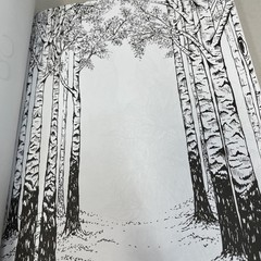 Adult Coloring for Creativity Book 288 Pages New Copyright 2015