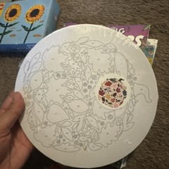 Variety Adult Coloring Books Pencil ETC