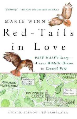 Red-Tails in Love: A Wildlife Drama in Central Park (Vintage Departures) – GOOD