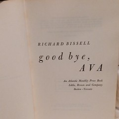 Little, Brown good bye, AVA Richard Bissell Hardcover 1960 Fiction 1st Ed