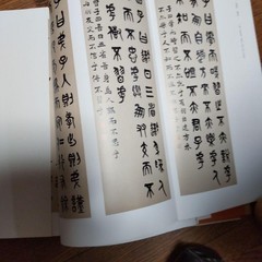 Tsujimoto Shimura Art Book 37cm x 27cm 246 Pages Limited Edition Exhibition