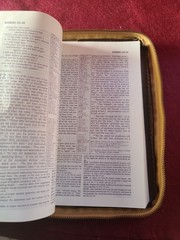NIV Study Bible 1985 Blue Hardcover 1984