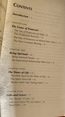 Lot of 3 Catholic Charismatic books by Stephen Clark and Raymond Brown