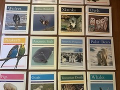 Lot of 24 Rigby PM Animal Facts Books Readers – Early Learning Homeschool