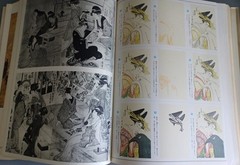 30 volumes of Primary Colors of Japan Art