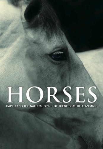 Horses: Capturing the Natural Spirit of These Beautiful Animals by Parragon Book