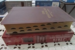NASB Charles Stanley Life Principles Bible- Large Print INDEXED Burgundy LS-RARE