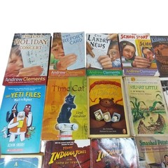 Early Chapter Books Boys Interest Lot of 26 Grade 3-6 Vintage & Modern
