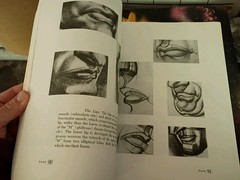 Dynamic Anatomy Hogarth, Burne paperback book