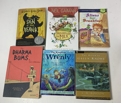 Boys Chapter Book Lot 30 Big Nate Encyclopedia Brown Aliens for Breakfast