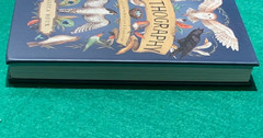 Ornithography by Jessica Roux 1st/1st HC 2024 Birds