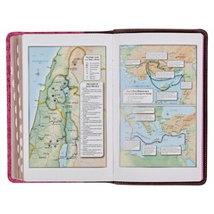 KJV Giant Print Brown Berry Pink Thumb Indexed BRAND NEW in Shrink Wrap!!!
